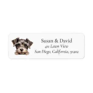 Etiqueta Amantes De Animais De Companhia Miniatura Schnauze