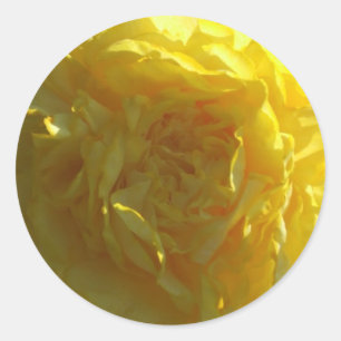 Etiqueta amarela brilhante da flor das peônias da