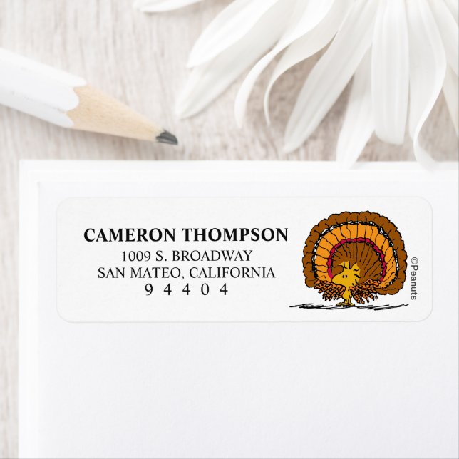 Etiqueta Amendoins | Seja Graças Woodstock Turquia (Insitu)