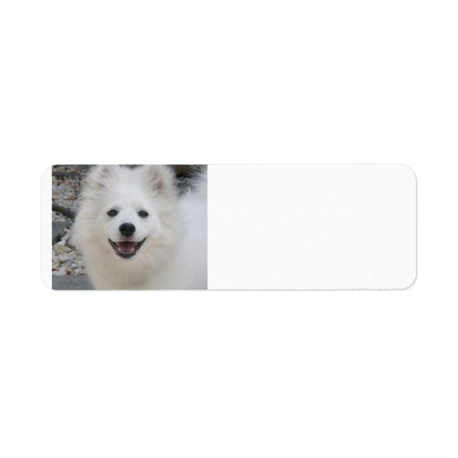 Etiqueta American_Eskimo_Dog.png (Frente)