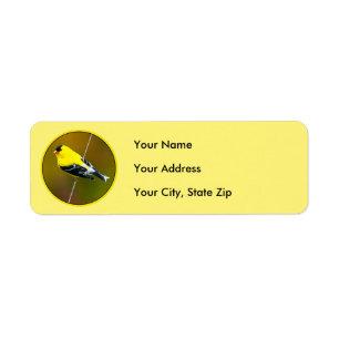 Etiqueta American Goldfinch - Fotografia original