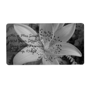 Etiqueta American Tiger Lily