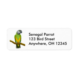 Etiqueta amigável do papagaio de Senegal