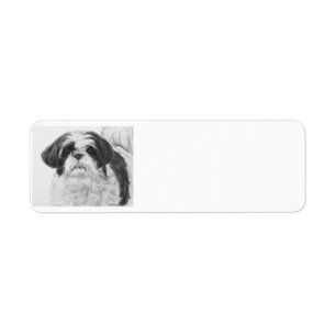Etiqueta Arte preto e branco de Shih Tzu