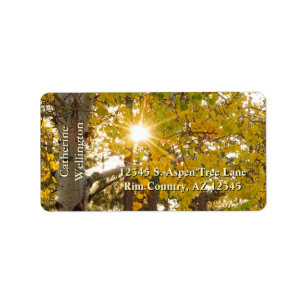 Etiqueta Árvore Aspen Com Folhagem Amarela E Pasta Solar