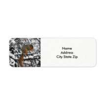 Árvore de Neve de Esquilo