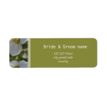 as flores brancas frescas de jardim incluem rótulo