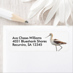 Etiqueta Atordoamento Americano Avocet Bird a rolar a praia