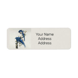 Etiqueta Audubon Columbia Jay Black Throated Magpie Jay
