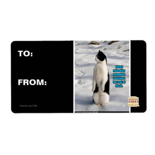 Etiqueta Aumentado por pinguins