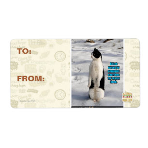 Etiqueta Aumentado por pinguins
