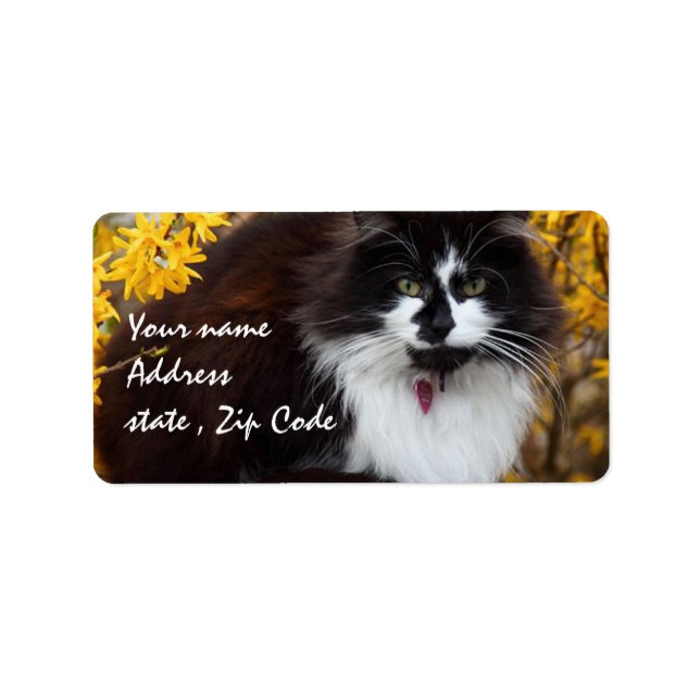Etiqueta Autumn Cat (Frente)