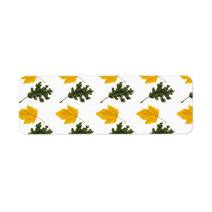Etiqueta Autumn Symmetry Leaf Pattern