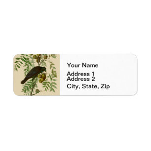 Etiqueta Ave Negra Americana da Audubon