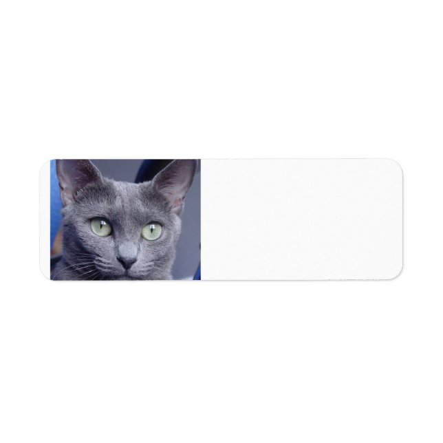 Etiqueta azul-russo.png (Frente)