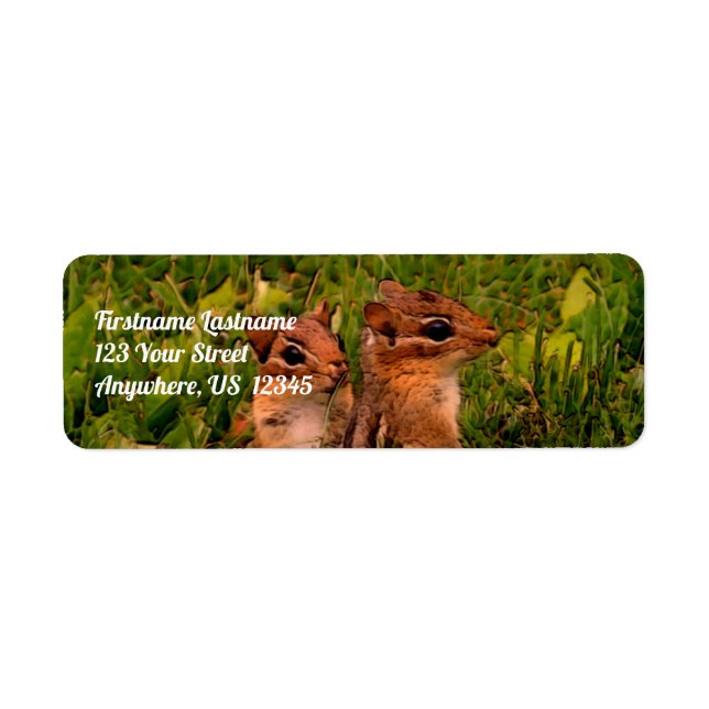Etiqueta Baby Chipmunks Willife Animal Art Address (Frente)