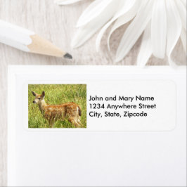 Etiqueta Baby Deer Fawn Nature Photo Return Endereço