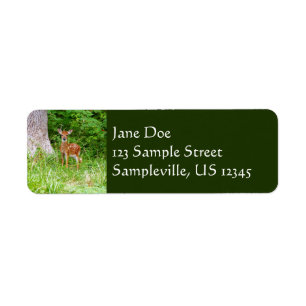 Etiqueta Baby Deer in the Woods Nature Fotografia