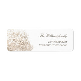 Etiqueta baby's breath