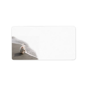 Etiqueta Bachcombing Westie Foto Stationery