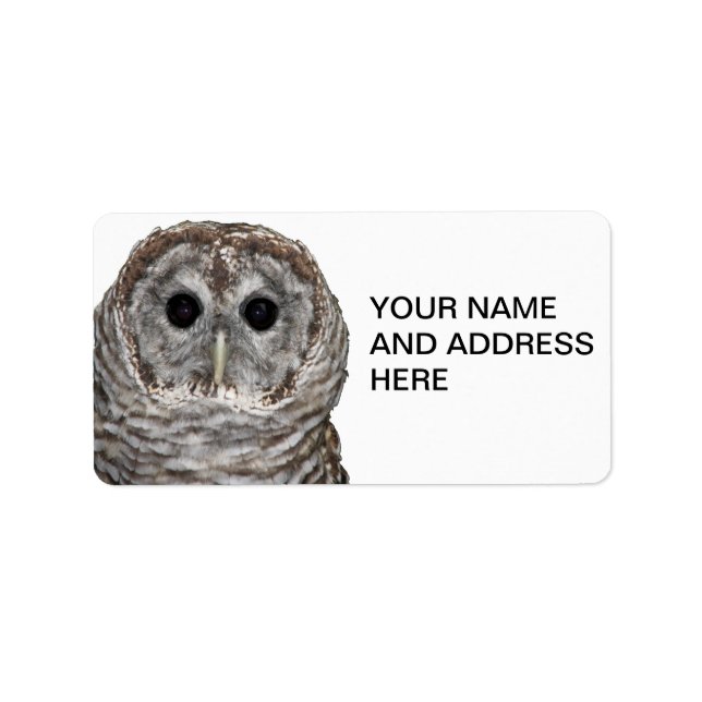 Etiqueta Barred Owl (Frente)