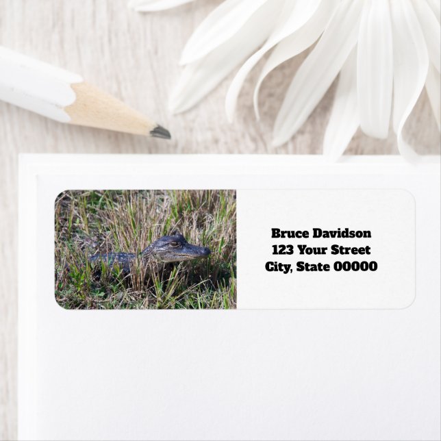Etiqueta Bebê Jacaré Fofo Endereço Personalizado  (Insitu)