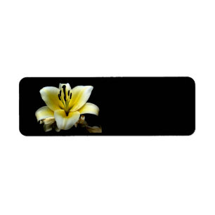 Etiqueta Bela Flor Amarela Elegante em Preto