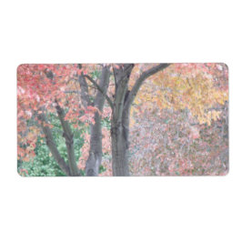 Etiqueta Beleza de queda