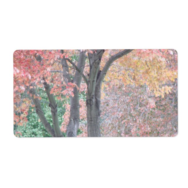 Etiqueta Beleza de queda (Frente)