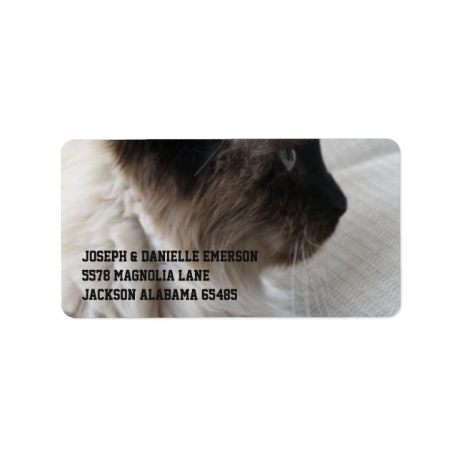 Etiqueta Belo Gatinho Siamês (Frente)