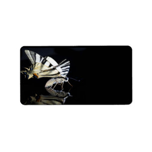 Etiqueta Belo rótulo da borboleta