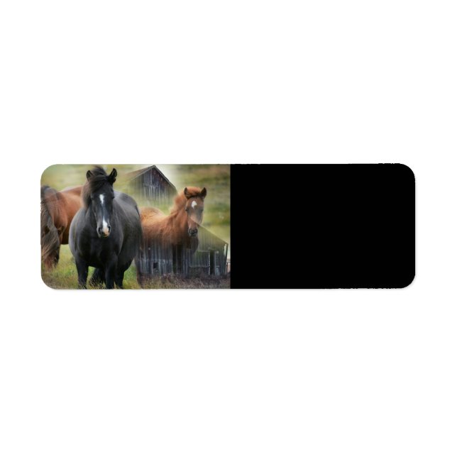 Etiqueta Belos Cavalos e Barão Russo (Frente)
