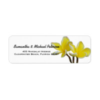 Belos Flores Tropicais De Plumeria