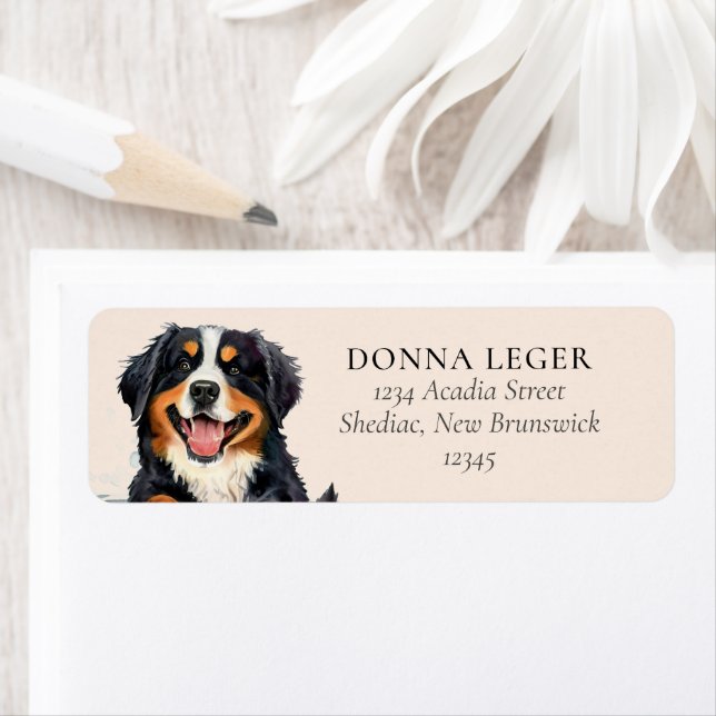 Etiqueta Bernese Mountain Dog Endereço Personalizado (Insitu)