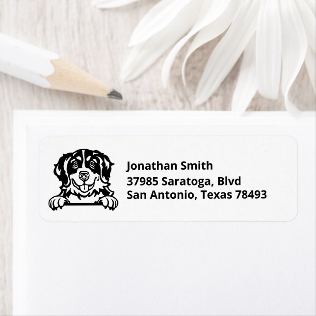 Etiqueta BERNESE MOUNTAIN DOG | Imagem no endereço de retor (Insitu)