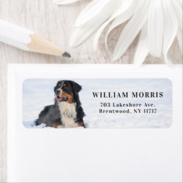 Etiqueta Bernese Mountain Dog in Snow Return Address