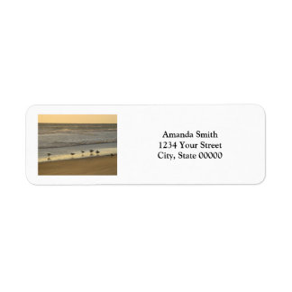 Etiqueta Birds Beach Sunrise Personalize Endereço de Devolu