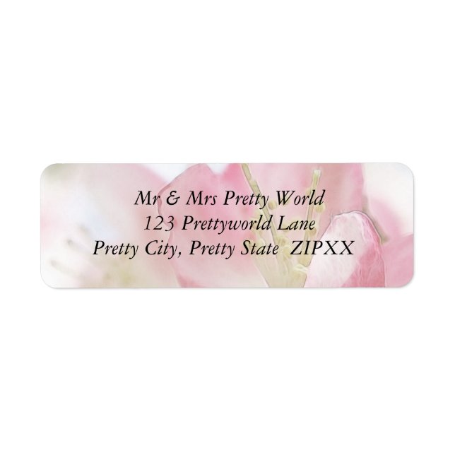 Etiqueta Blossomas de Maçã Primavera Brilhante (Frente)