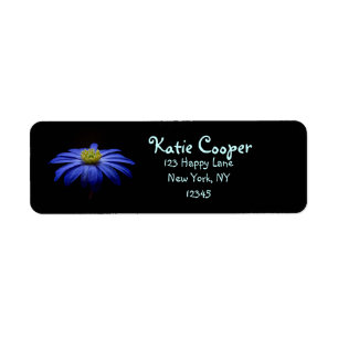 Etiqueta Blue Daisy Gerbera Flower em preto