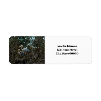 Etiqueta Blue Heron Birds Nest Personalize Endereço de Reto