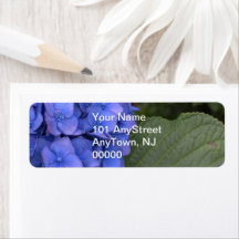 Blue Hydrangea Floral