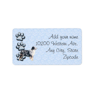 Etiqueta Blue Merle Aussie e 3 quadros azuis