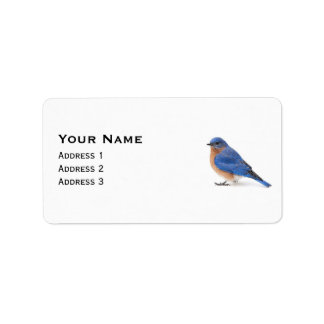 Etiqueta Bluebird