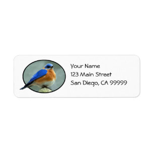 Etiqueta Bluebird no quadro oval