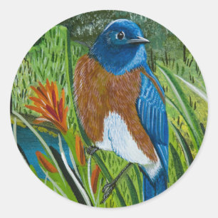 Etiqueta "Bluebird ocidental "