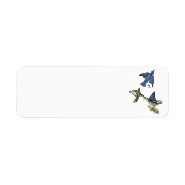 Etiqueta Bluebird oriental por Audubon (Frente)