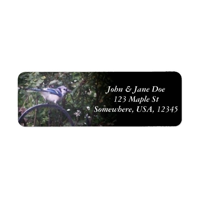 Etiqueta BlueJay 2 (Frente)