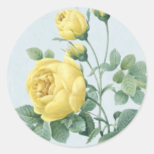 Etiqueta bonita do rosa amarelo do vintage