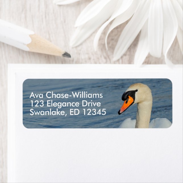 Etiqueta Bonito Cisne de Mute em Águas Portuárias (Insitu)