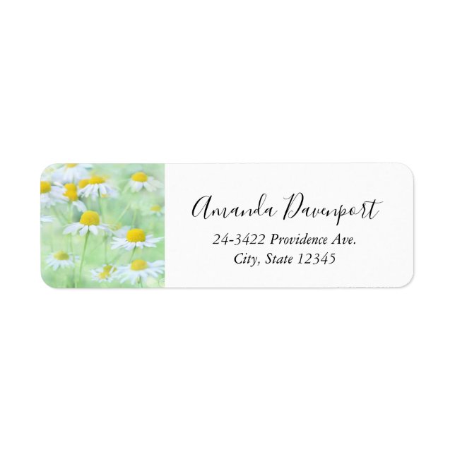 Etiqueta Bonito margaridas em um campo (Frente)